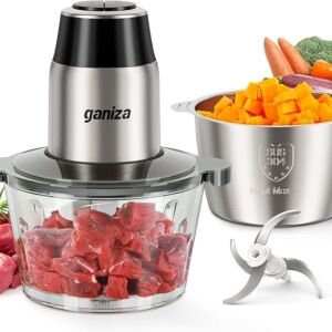 GANIZA 450W Electric Chopper