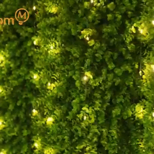 Minetom 300 LED Warm White Curtain Lights 5 light